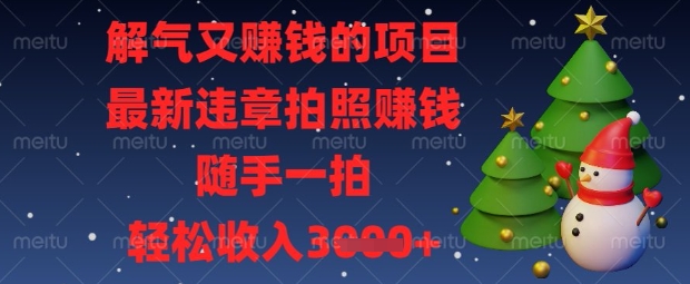 解气又挣钱的项目，最新违章拍照挣钱，随手一拍，轻松收入数张【揭秘】-川川创富网