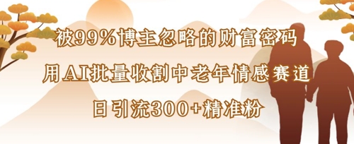 被99%博主忽略的财富密码：用AI批量收割中老年情感赛道，日引流300+精准粉-川川创富网