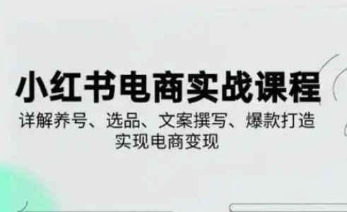 小红书从0-1实操课(2023-2025)，详解养号、选品、文案撰写、爆款打造实现电商变现-川川创富网