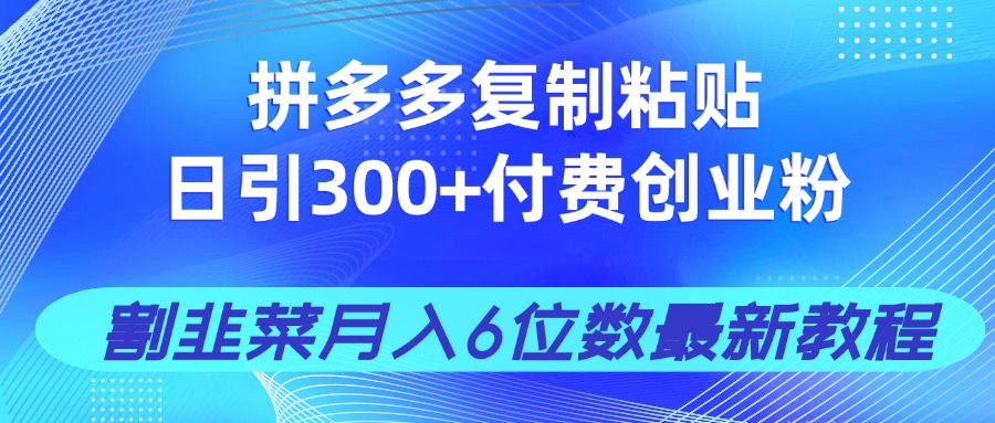 拼多多复制粘贴日引300+付费创业粉，割韭菜月入6位数最新教程！-川川创富网