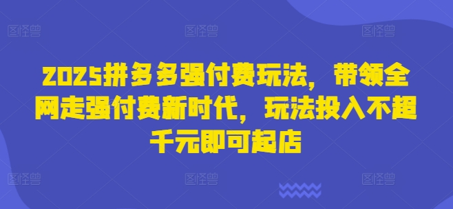 2025拼多多强付费玩法，带领全网走强付费新时代，玩法投入不超千元即可起店-川川创富网