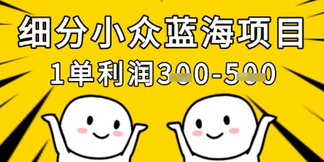 细分小众蓝海项目，一单利润3张，每月收入稳定过1w+-川川创富网