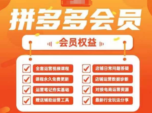 2025拼多多运营实战课，40节全流程教学，覆盖拼多多运营全链路-川川创富网