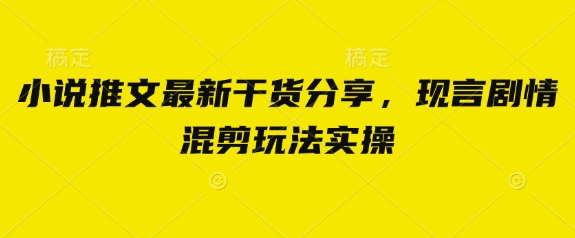 小说推文最新干货分享，现言剧情混剪玩法实操-川川创富网