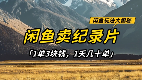 闲鱼卖纪录片1单3块钱，1天几十单，项目稳定有潜力-川川创富网