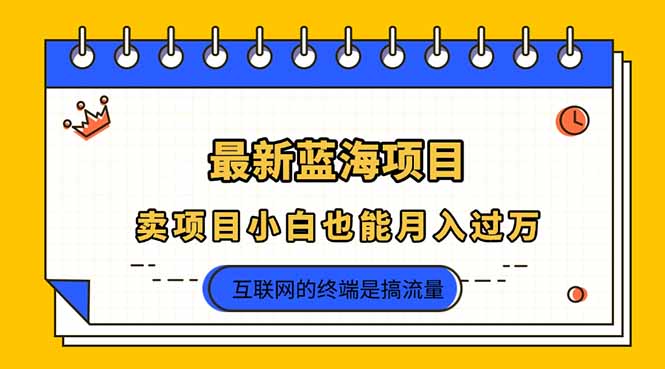 2025年最新蓝海项目，卖项目小白也能月入过万-川川创富网