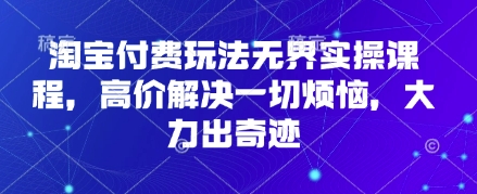 淘宝付费玩法无界实操课程，高价解决一切烦恼，大力出奇迹-川川创富网