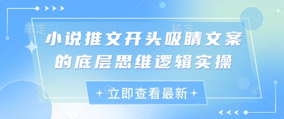 小说推文开头吸睛文案的底层思维逻辑实操-川川创富网