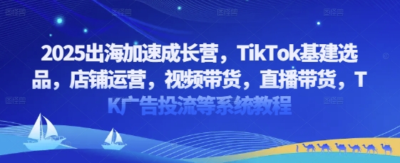 2025出海加速成长营，TikTok基建选品，店铺运营，视频带货，直播带货，TK广告投流等系统教程-川川创富网