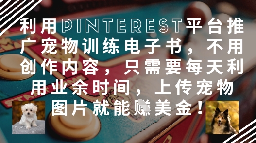 利用Pinterest平台推广宠物训练电子书，不用创作内容，只需要每天利用业余时间，上传宠物图片就能挣美金!-川川创富网
