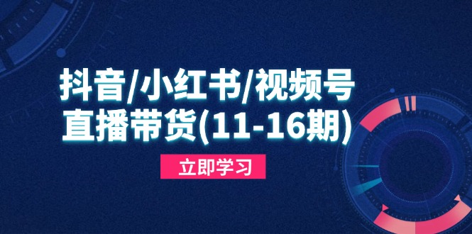 抖音/小红书/视频号/直播带货(11-16期-川川创富网