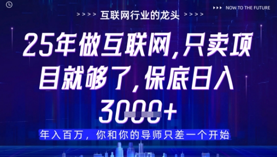 什么！25年你还在找项目做？风口早就变了，卖项目才是稳挣不赔【揭秘】-川川创富网