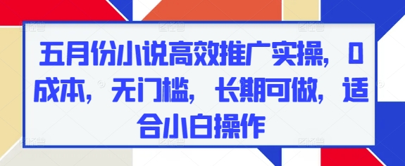 五月份小说高效推广实操，0成本，无门槛，长期可做，适合小白操作-川川创富网
