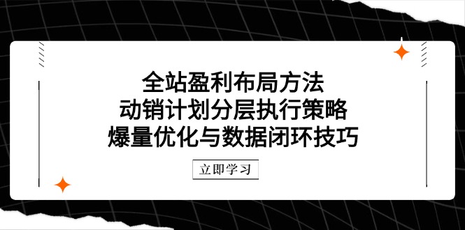 全站盈利布局方法：动销计划分层执行策略，爆量优化与数据闭环技巧-川川创富网