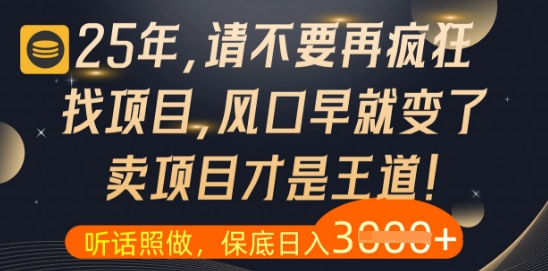什么？25年你还在疯狂找项目做，醒醒吧，看完这些你全都懂了【揭秘】-川川创富网