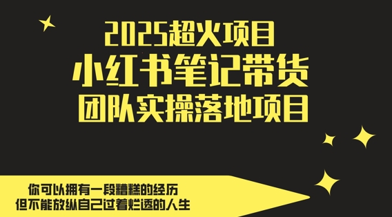 2025超火项目，副业最佳选择，小红书笔记带货团队实操落地项目，，轻松日入5张-川川创富网