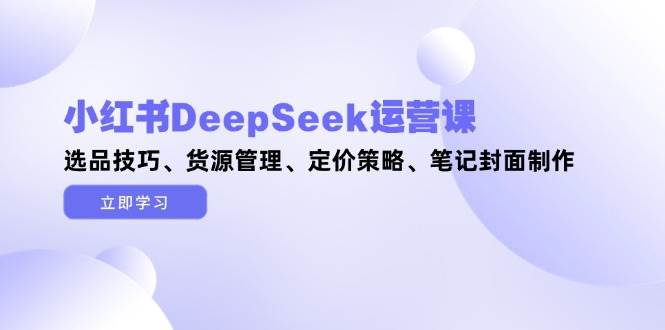 小红书DeepSeek运营课，选品技巧、货源管理、定价策略、笔记封面制作-川川创富网