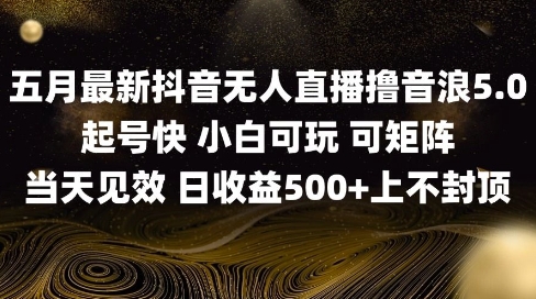 2025五月最新无人直播撸音浪单日产出5张+实操教程【揭秘】-川川创富网