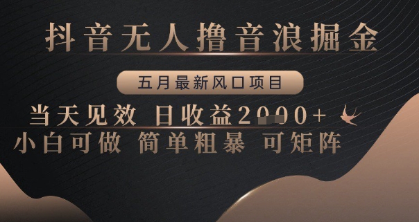 抖音无人撸音浪掘金，五月最新风口项目，当天见效，日收益多张，小白可做简单粗暴可矩阵【揭秘】-川川创富网