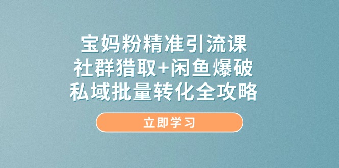 宝妈粉精准引流课，社群猎取+闲鱼爆破，私域批量转化全攻略-川川创富网