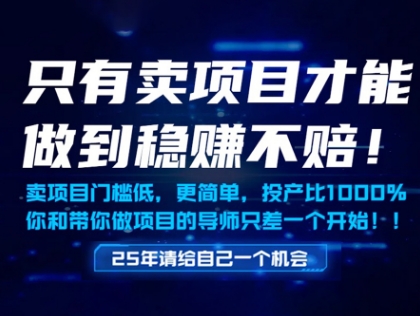 只有卖项目才能做到稳挣不赔，门槛低，更简单，你也可以年入百个W【揭秘】-川川创富网