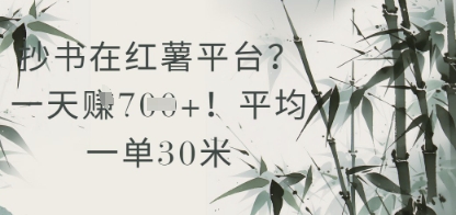 抄书在小红薯平台？平均一单30米，一天收益几张！-川川创富网