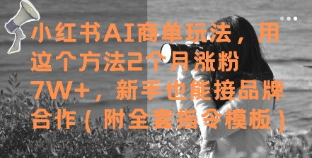 小红书AI商单玩法，用这个方法2个月涨粉7W+，新手也能接品牌合作(附全套指令模板)-川川创富网