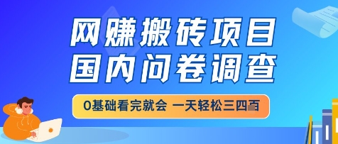 网创搬砖项目，国内问卷调查，小白轻松上手，一天三四张的也不难，干就完了【揭秘】-川川创富网