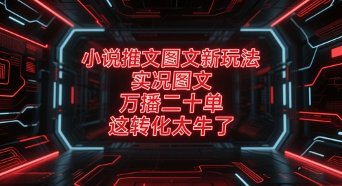 小说推文图文新玩法，实况图文，万播二十单，这转化太牛了！-川川创富网