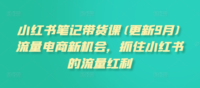 小红书笔记带货课(更新25年5月)流量电商新机会，抓住小红书的流量红利-川川创富网