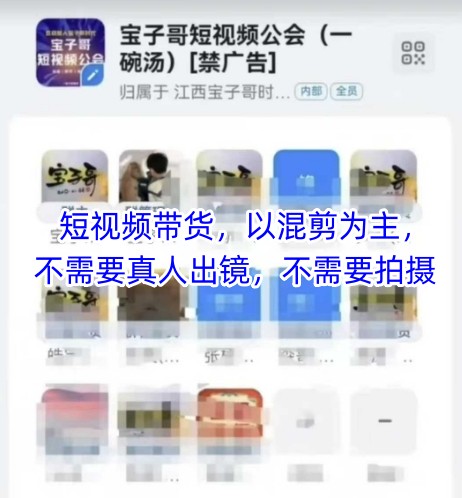 宝子哥头部团队短视频带货，以混剪为主，不需要真人出镜，不需要拍摄【更新】-川川创富网