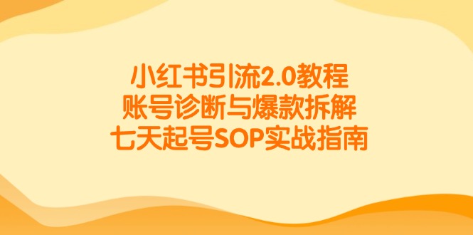 小红书引流2.0教程，账号诊断与爆款拆解，七天起号SOP实战指南-川川创富网