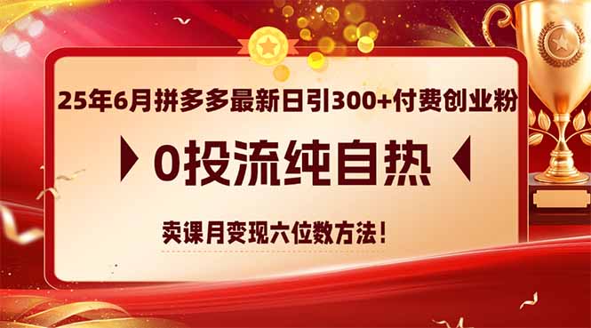 25年6月拼多多最新日引300+付费创业粉，0投流纯自热 卖课月变现六位数方法-川川创富网
