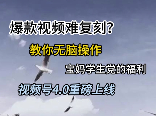 视频号4.0重磅上线，爆款视频难复刻？教你无脑操作宝妈学生党的福利【揭秘】-川川创富网