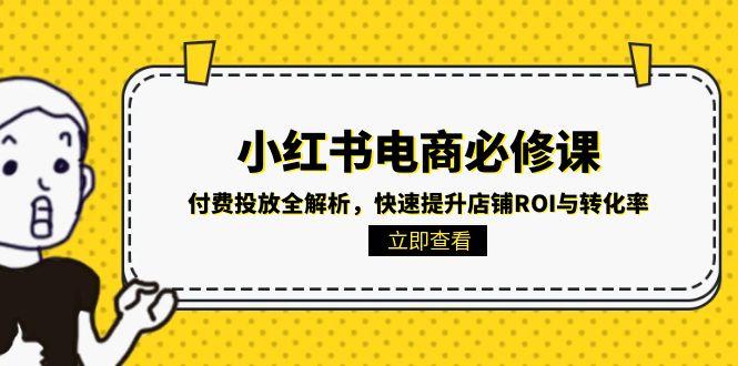小红书电商必修课：付费投放全解析，快速提升店铺ROI与转化率-川川创富网