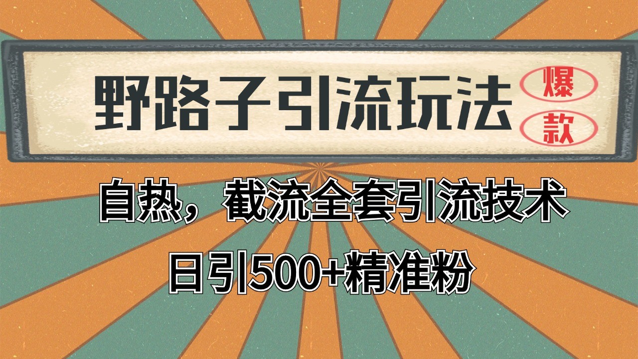2024首发野路子引流玩法截流自热全平台打法，全自动引流【日引2000+精准客户】-川川创富网