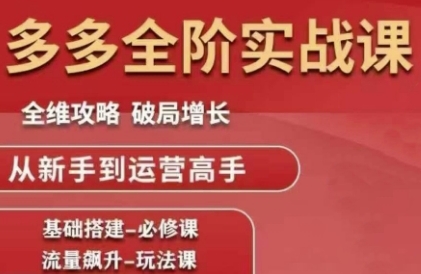 拼多多全阶实战课程，全维攻略，破局增长，从新手到运营高手-川川创富网
