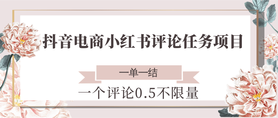 抖音电商小红书评论任务项目，一个评论0.5，一单一结 不限量-川川创富网