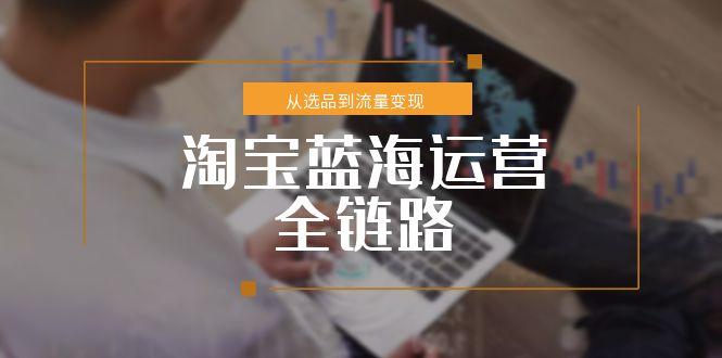 淘宝蓝海运营全链路，从选品到流量变现，小类目突围完整方案-川川创富网