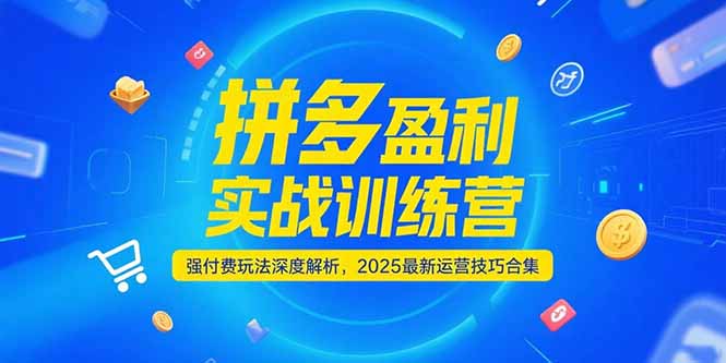 拼多多盈利实战训练营，强付费玩法深度解析，2025运营技巧合集-更新6月-川川创富网