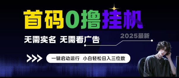 首码0撸挂G项目，无需实名无需看广告 一键启动运行，小白轻松日入三位数【揭秘】-川川创富网