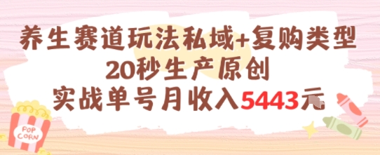 养生赛道玩法私域+复购类型，20秒生产原创实战单号月收入5k+-川川创富网