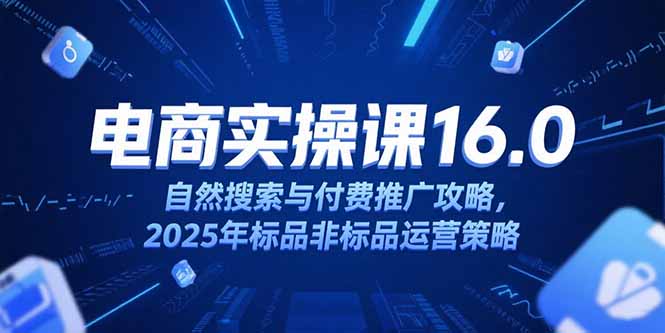 淘宝电商运营课16.0，自然搜索与付费推广攻略，2025年标品非标品运营策略-川川创富网