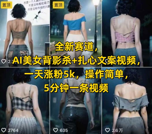 全新赛道，AI美女背影杀+扎心文案视频，一天涨粉5k，操作简单，5分钟一条视频-川川创富网