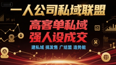 一人公司私域联盟，高客单私域，强人设成交，建私域 搞发售 广结盟 造势能-川川创富网