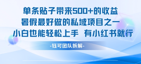 单条贴子带来5张的收益，暑假最好做的私域项目之一，小白也能轻松上手，有小红书就行-川川创富网