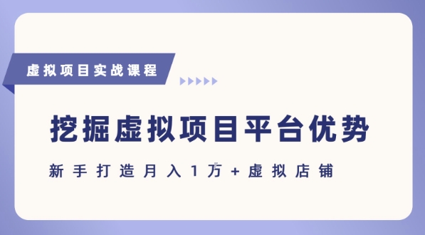 抓住虚拟项目各平台优势，新手轻松月入1W+(给出具体建议)-川川创富网
