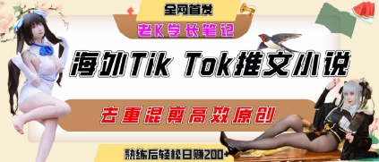海外tiktok小说推文暴力项目，高停留率，高转化率，上手后一天搞顿饭钱不是问题-川川创富网