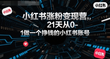 小红书涨粉变现营，21天从0-1做一个挣钱的小红书账号-川川创富网