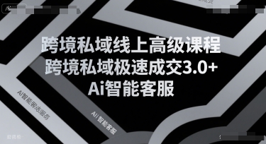 跨境私域线上高级课程，跨境私域极速成交3.0+Ai智能客服-川川创富网